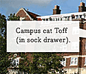 Carleton.edu homepage example